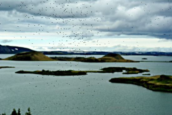 See Mývatn im Norden Islands - mý: Mücke, vatn: Wasser